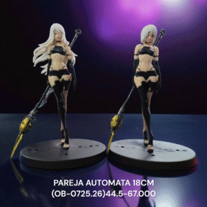 PAREJA AUTOMATA